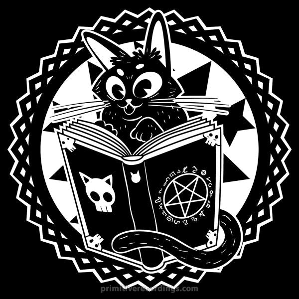 Magic Cat 3x3 Foot Flag
