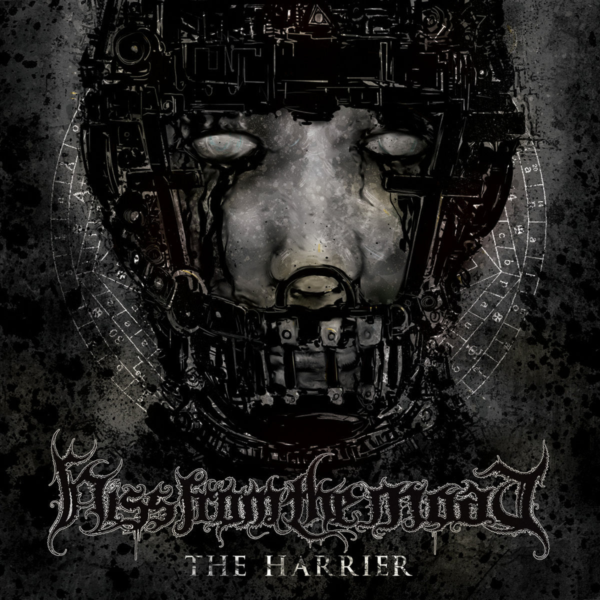 The Harrier - 12 Inch Black Vinyl