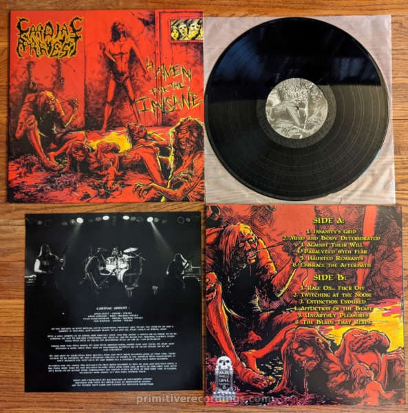 Haven For The Insane 12 Inch Vinyl LP