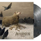 Grievances Ash Color 12" Vinyl