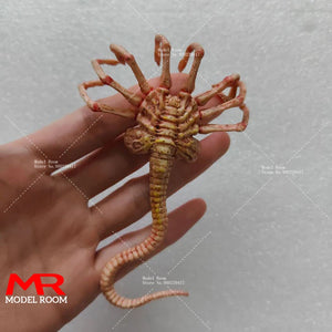 Facehugger 1/6 Model Fits 12'' Action Figure