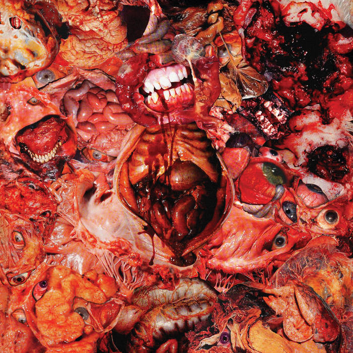 From Demo To Rot Red 12" Vinyl