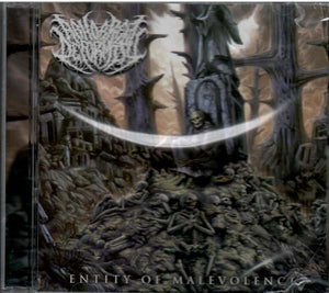 Entity of Malevolence