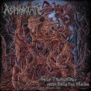 Self Transform From Decayed Flesh CD
