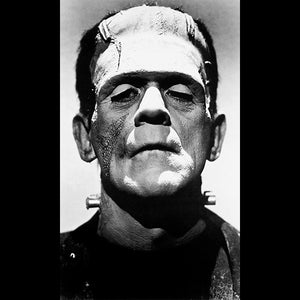 Frankenstein Boris Karloff 3x5 Flag