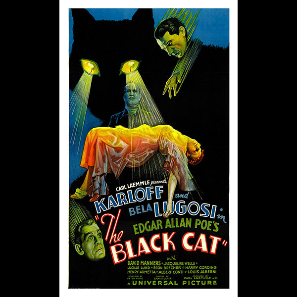 The Black Cat 1934 Movie 3x5 Flag