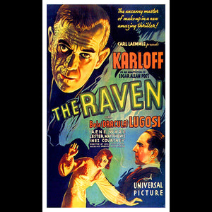 The Raven Lugossi Karloff 1935 Movie 3x5 Flag