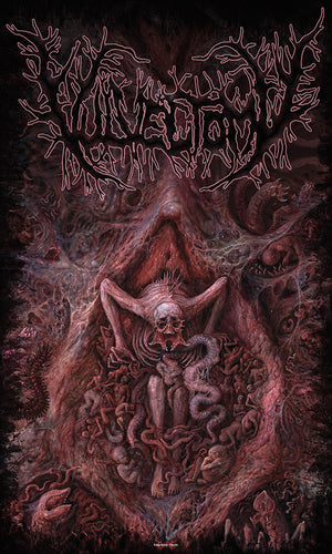 Aberrant Vaginal Gestation 3x5 Foot Flag