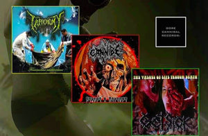 Taphonomy Split CD