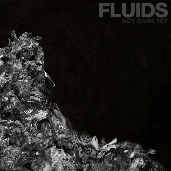 Fluids Not Dark Yet CD