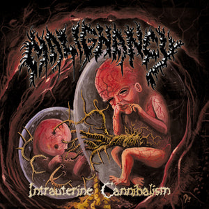 Intrauterine Cannibalism 3' X 3' Flag