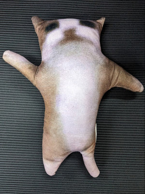Small Plushie Cat
