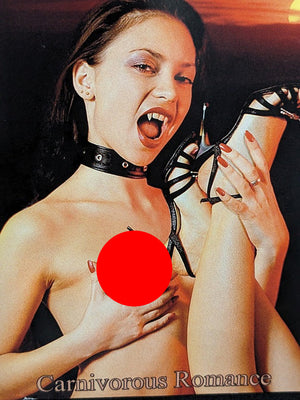 Carnivorous Romance CD Used