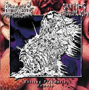Rotting Plasmatic Domain Split CD USED
