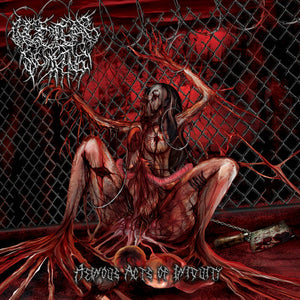 Heinous Acts of Iniquity EP CD