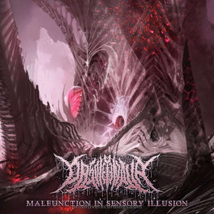 Malfunction In Sensory Illusion CD