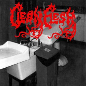 Clean Flesh Self Titled CD
