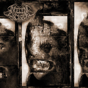 Into the Absurd CD