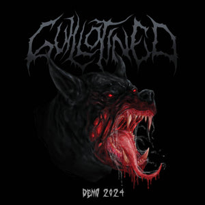 Demo 2025 CD