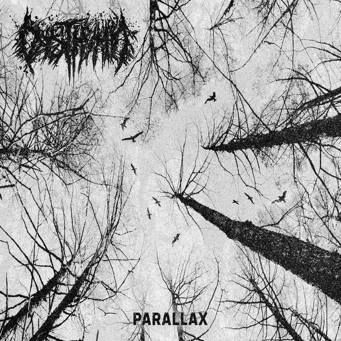 Parallax CD