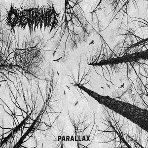 Parallax CD