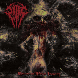 Salvation Within Insanity CD