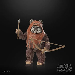 Wicket the Ewok The Black Series Return of the Jedi 40th Anniversary 6-Inch Action Figure