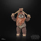 Wicket the Ewok The Black Series Return of the Jedi 40th Anniversary 6-Inch Action Figure