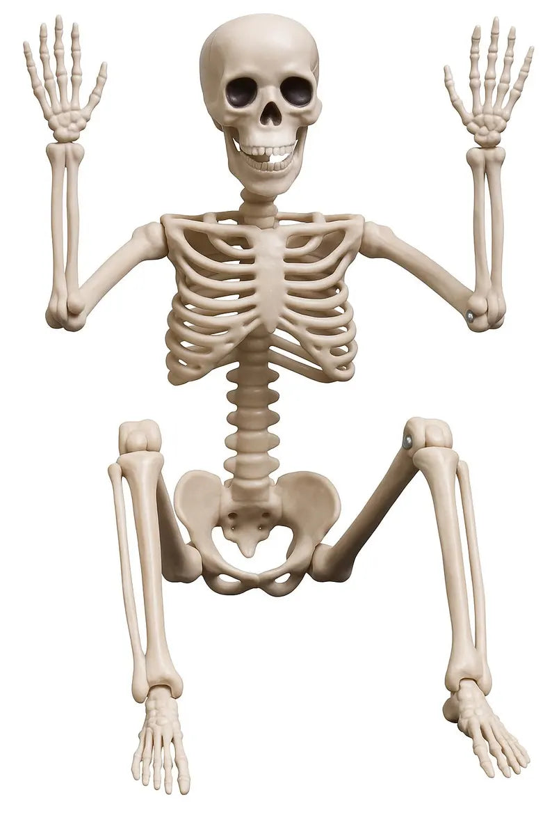 14" Posable Skeleton