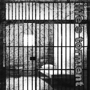 Regurgitated Misinformation 7" Red Vinyl